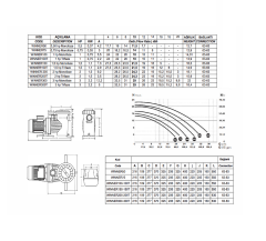 Havuz Pompası 0.75 HP Monofaze Saci Winner 75