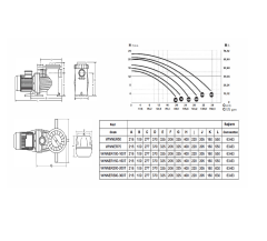 Havuz Pompası 0.75 HP Monofaze Saci Winner 75